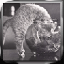 Peabody's Avatar