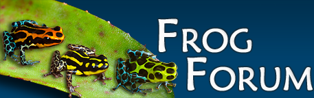 Frog Forum
